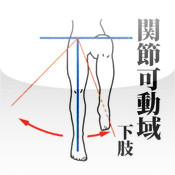 関節可動域 下肢